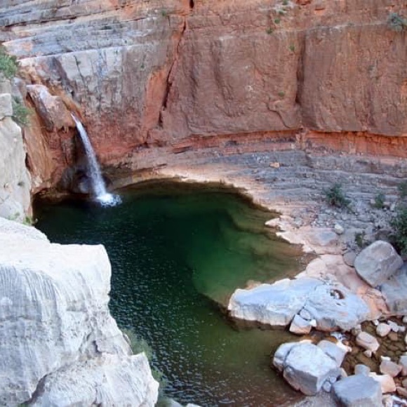 Meet your Posher, Shaheen - Picture 5 of 16